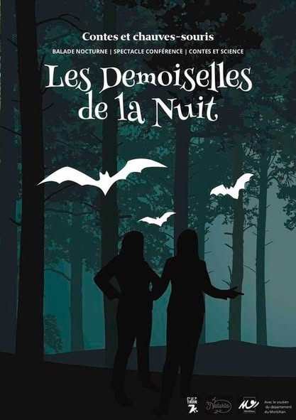 les demoiselles de la nuit